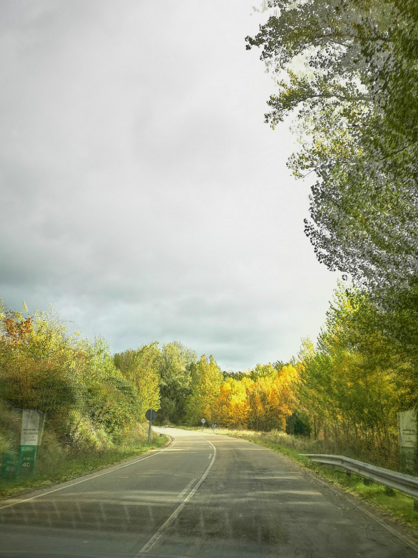Route-Img-Alt