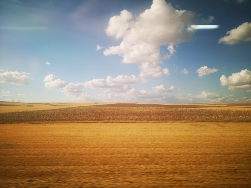 Route-Img-Alt